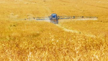Bayer muss für Monsanto wieder kräftig zahlen